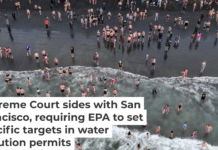 Swimmers gather at San Francisco’s Ocean Beach for a Polar Plunge to start the new year, Jan. 1, 2025. Tayfun Coskun/Anadolu via Getty Images